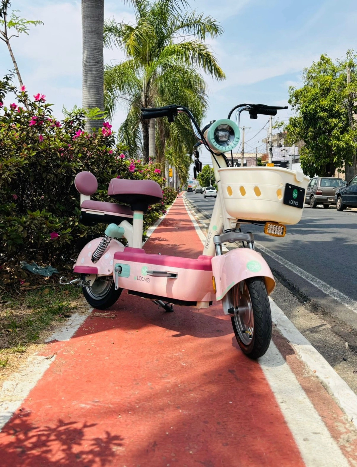 Moto Elétrica MBE6300